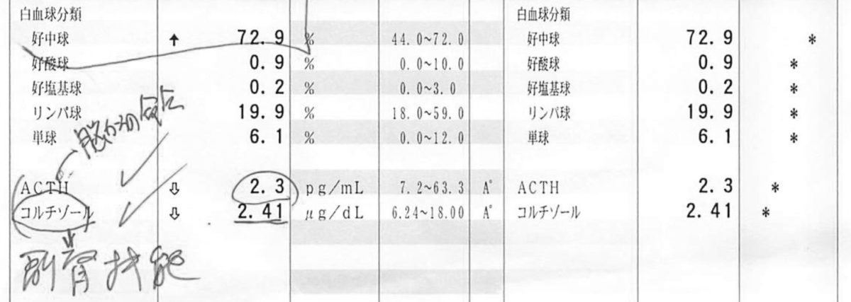 血液検査の結果