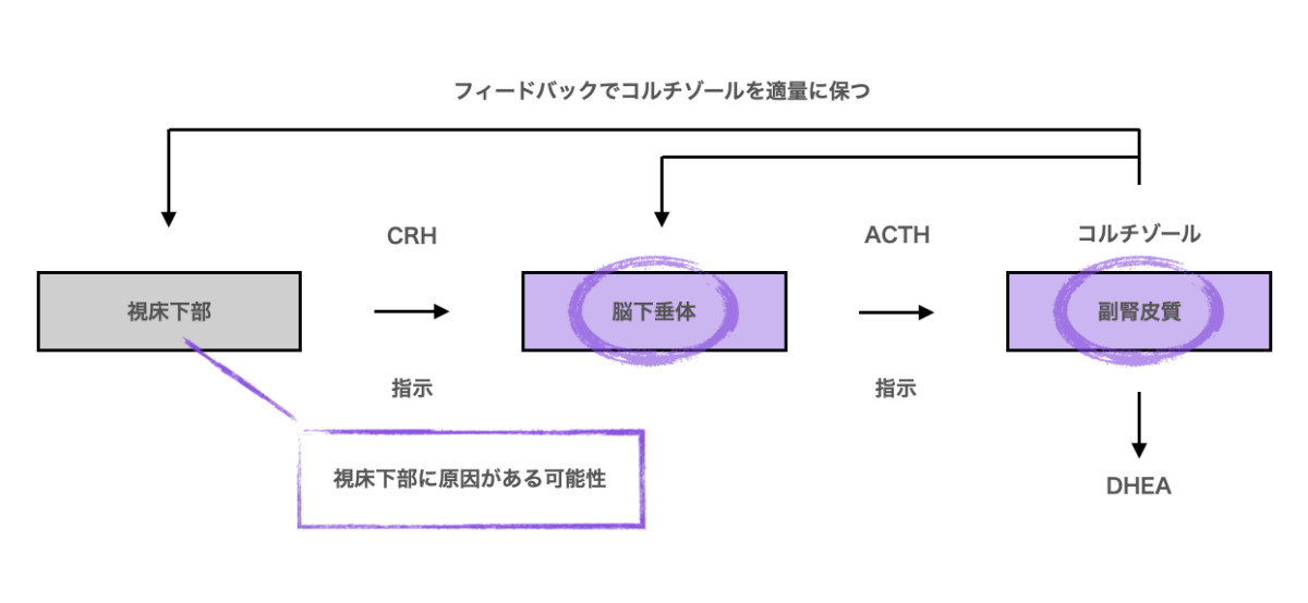 フロー図