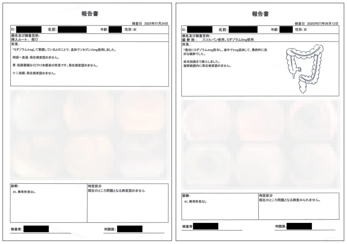 資料