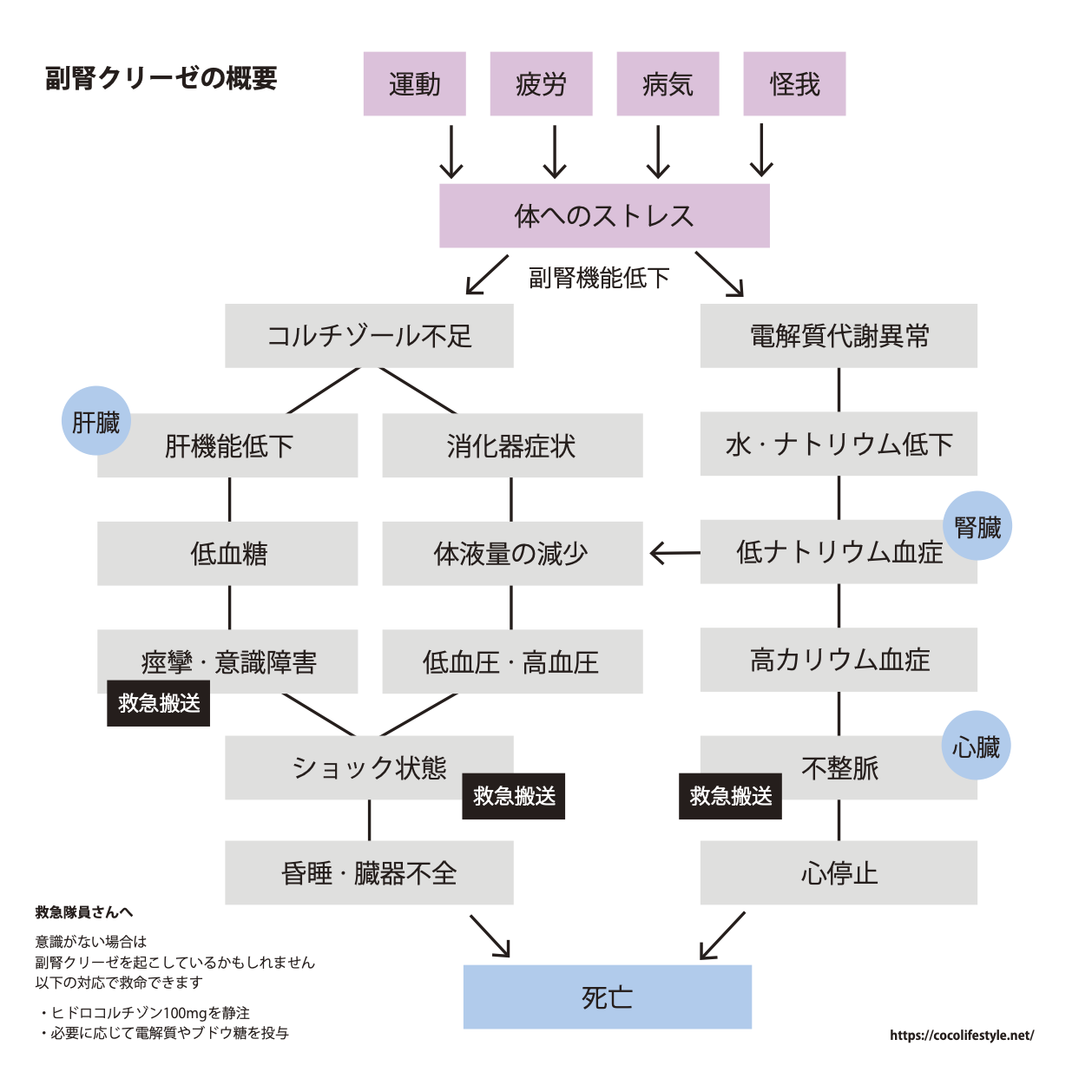 資料